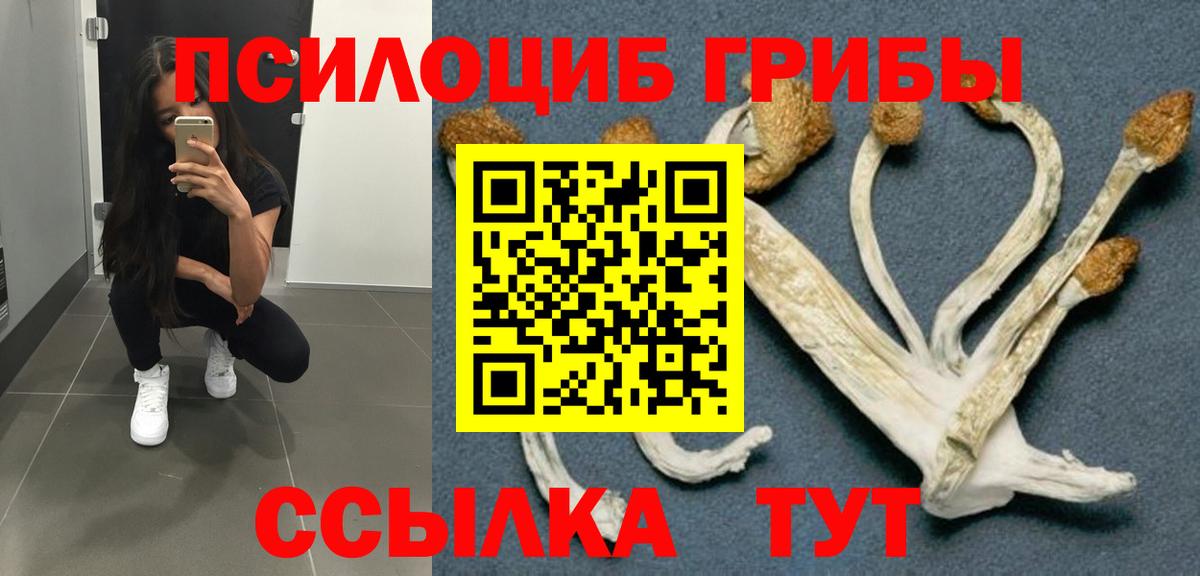 цены   Галлюциногенные грибы мицелий  Вход с VPN  Бийск 